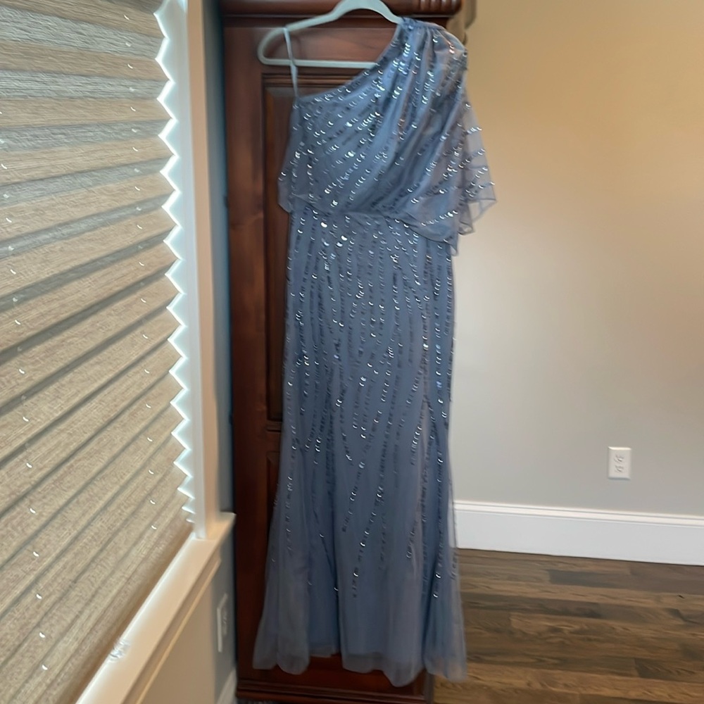 Adrianna papell long gown, 12